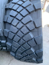 GOODRIDE CS100 425/85 R21 162E